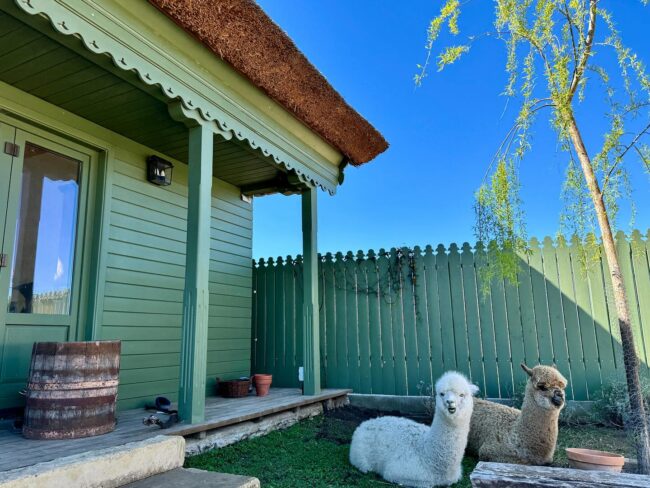 lipovenesc lipovenesc